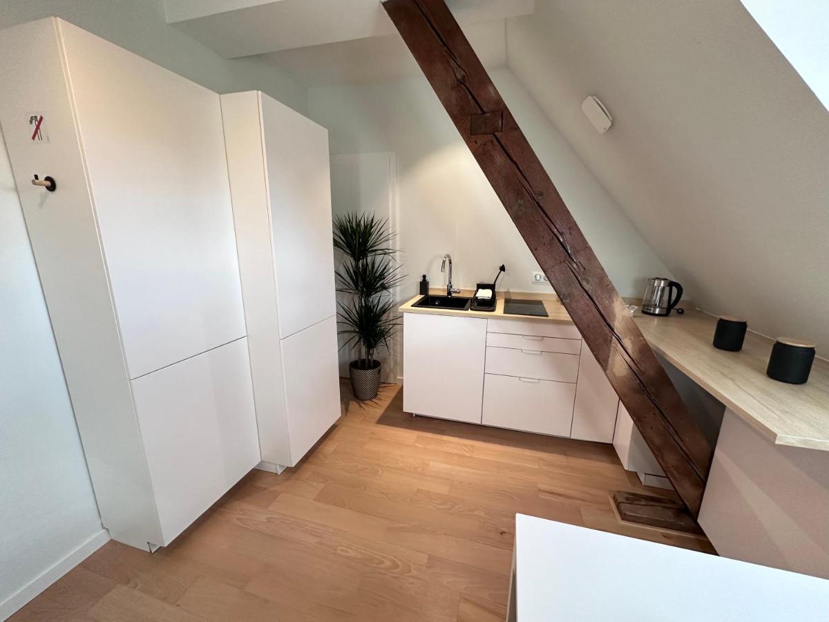 Les Toits De Gutenberg Strasbourg Kültér fotó